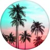 PopGrip - Venice Beach - Tropical Sunset
