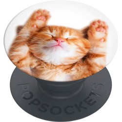 Popsockets PopGrip | Support extensible et poignée pour smartphones  Snoozy Cat