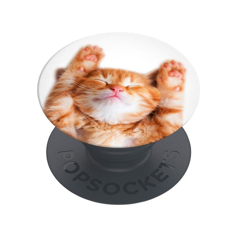 Popsockets PopGrip | Support extensible et poignée pour smartphones  Snoozy Cat