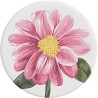 Popsockets - Pretty Little Thing